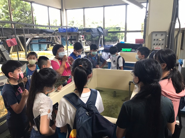 「墾丁－南海岸及台南菜寮化石園區自然探索」夏令營(7/18)-圖片103