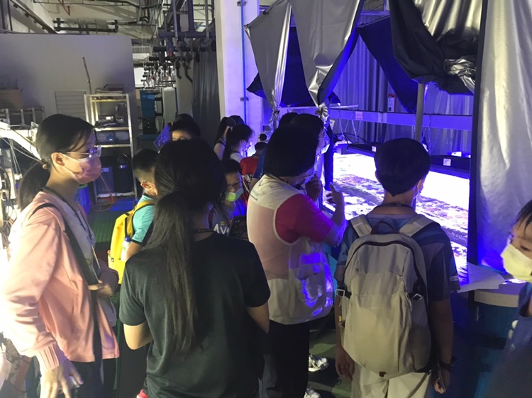 「墾丁－南海岸及台南菜寮化石園區自然探索」夏令營(7/18)-圖片104