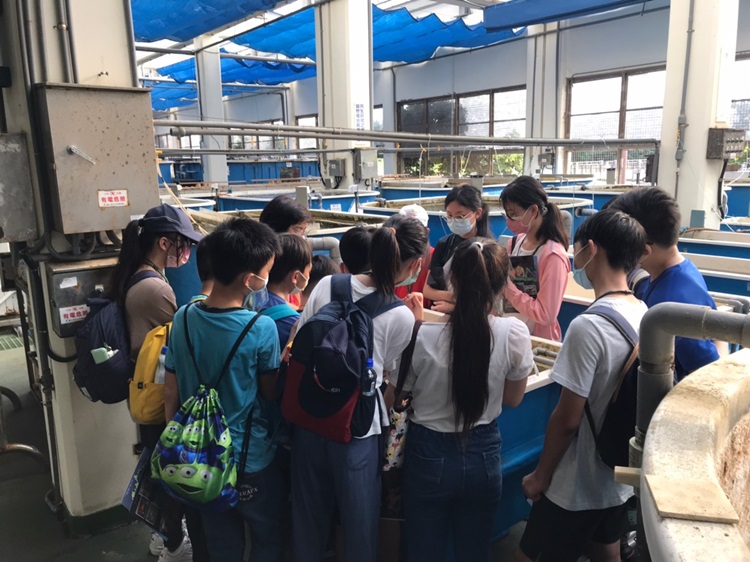 「墾丁－南海岸及台南菜寮化石園區自然探索」夏令營(7/18)-圖片108