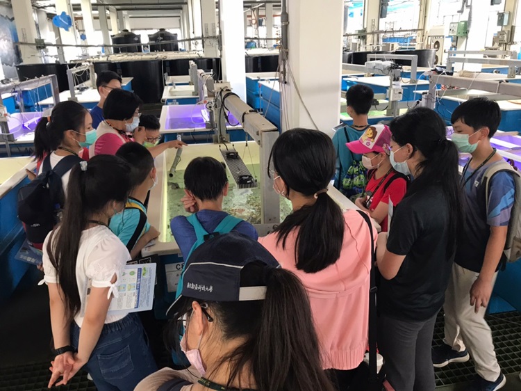 「墾丁－南海岸及台南菜寮化石園區自然探索」夏令營(7/18)-圖片111