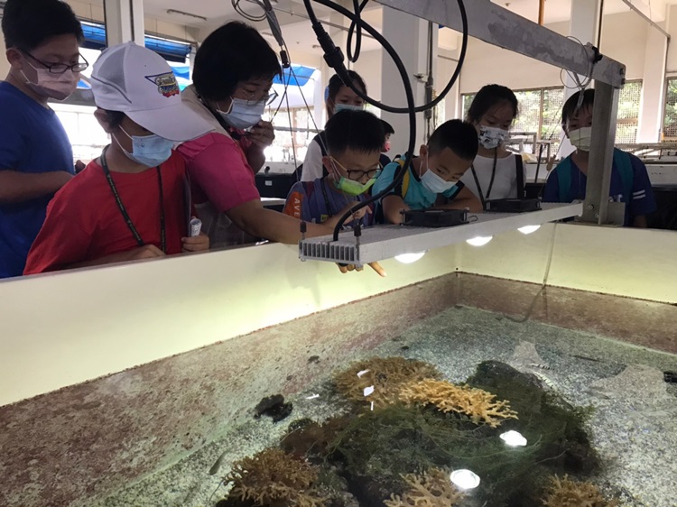 「墾丁－南海岸及台南菜寮化石園區自然探索」夏令營(7/18)-圖片112