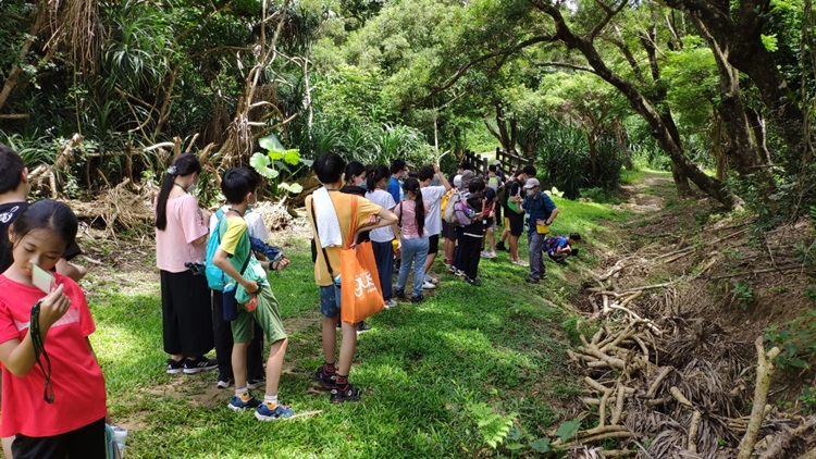 「墾丁－南海岸及台南菜寮化石園區自然探索」夏令營(7/19)-圖片8