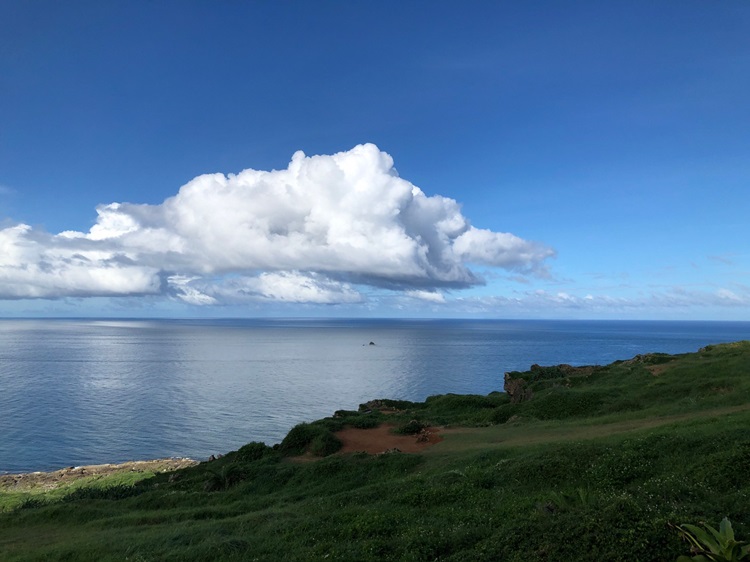 「墾丁－南海岸及台南菜寮化石園區自然探索」夏令營(7/19)-圖片34