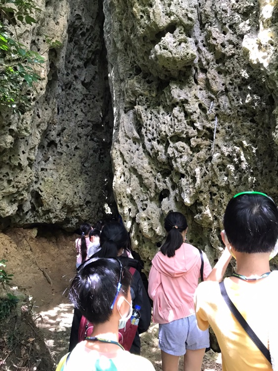 「墾丁－南海岸及台南菜寮化石園區自然探索」夏令營(7/19)-圖片46