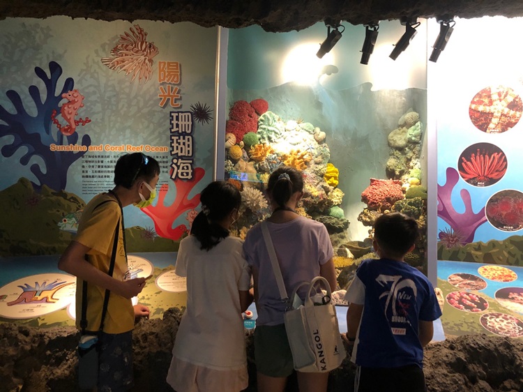 「墾丁－南海岸及台南菜寮化石園區自然探索」夏令營(7/19)-圖片49