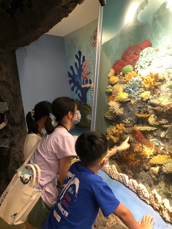 「墾丁－南海岸及台南菜寮化石園區自然探索」夏令營(7/19)-圖片50