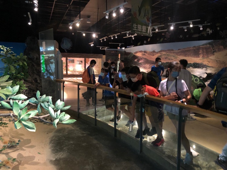 「墾丁－南海岸及台南菜寮化石園區自然探索」夏令營(7/19)-圖片52