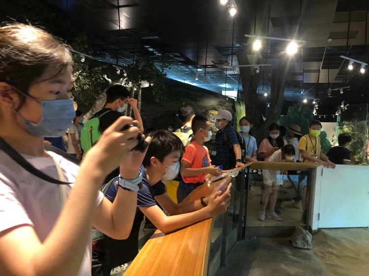 「墾丁－南海岸及台南菜寮化石園區自然探索」夏令營(7/19)-圖片54