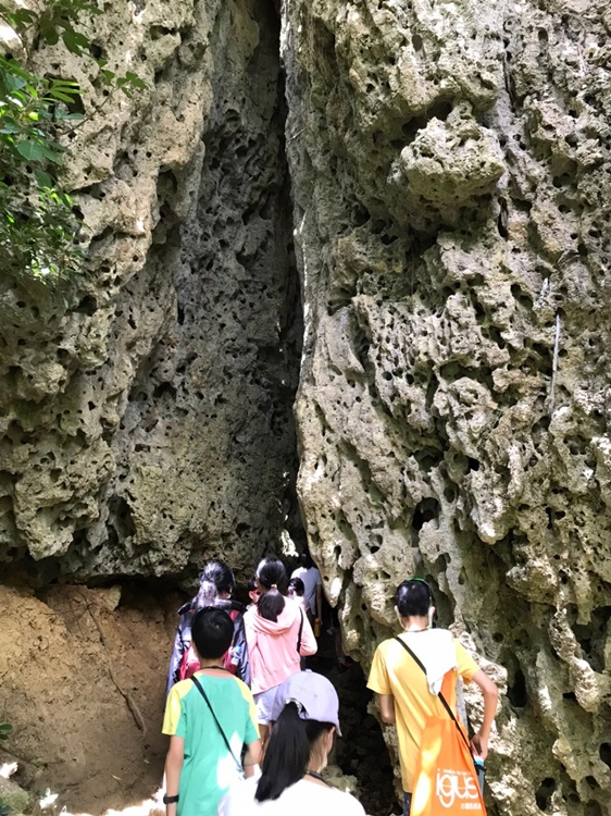 「墾丁－南海岸及台南菜寮化石園區自然探索」夏令營(7/19)-圖片57