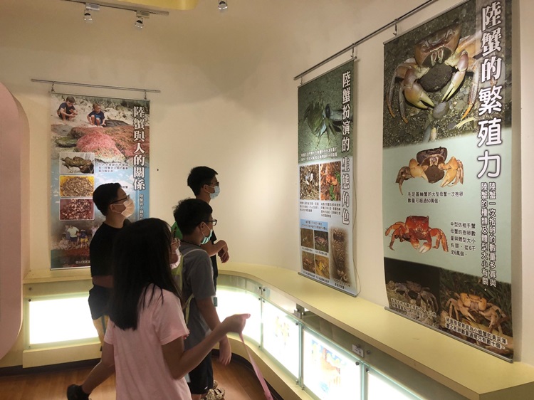 「墾丁－南海岸及台南菜寮化石園區自然探索」夏令營(7/19)-圖片64