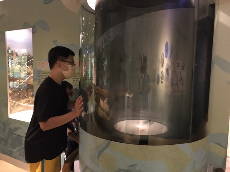 「墾丁－南海岸及台南菜寮化石園區自然探索」夏令營(7/19)-圖片65