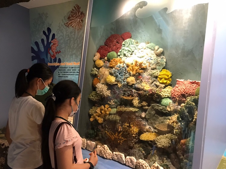 「墾丁－南海岸及台南菜寮化石園區自然探索」夏令營(7/19)-圖片66