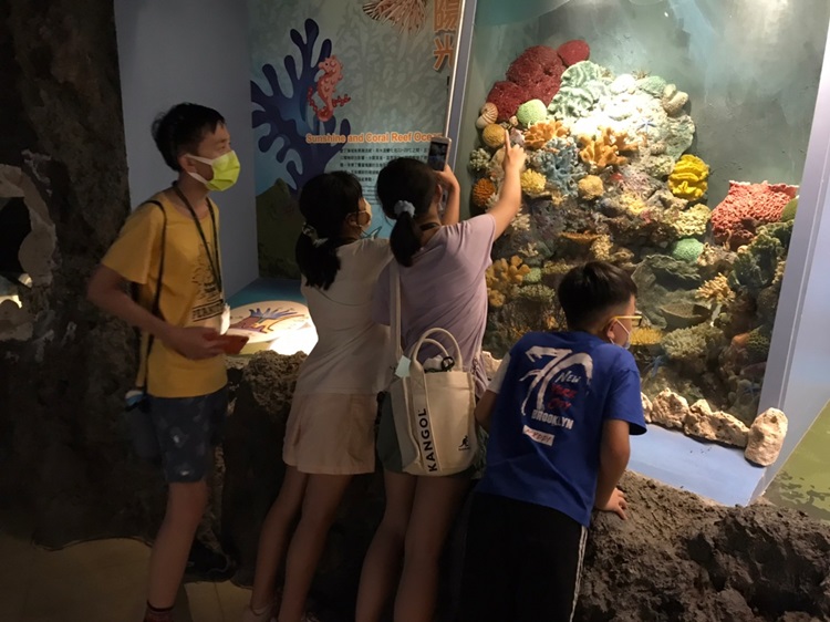 「墾丁－南海岸及台南菜寮化石園區自然探索」夏令營(7/19)-圖片67