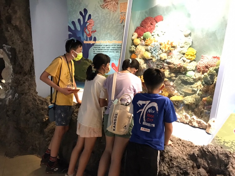 「墾丁－南海岸及台南菜寮化石園區自然探索」夏令營(7/19)-圖片69