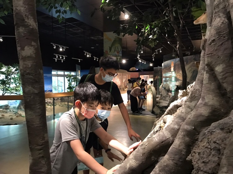 「墾丁－南海岸及台南菜寮化石園區自然探索」夏令營(7/19)-圖片72