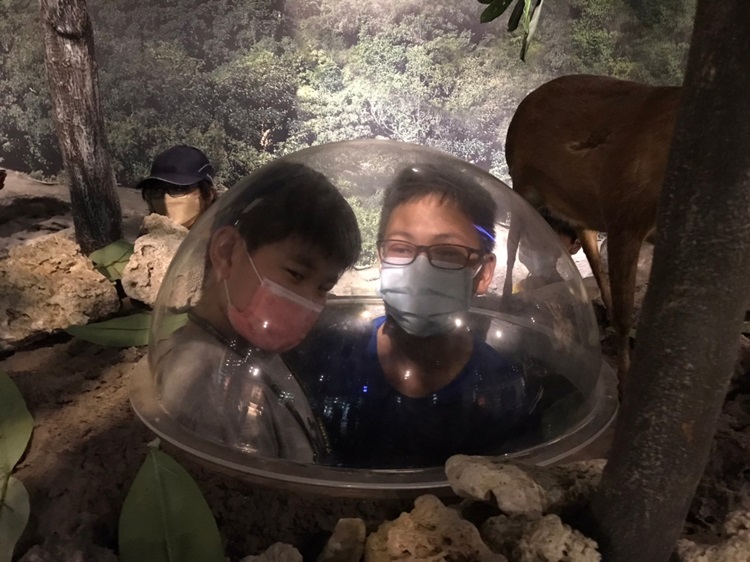 「墾丁－南海岸及台南菜寮化石園區自然探索」夏令營(7/19)-圖片78