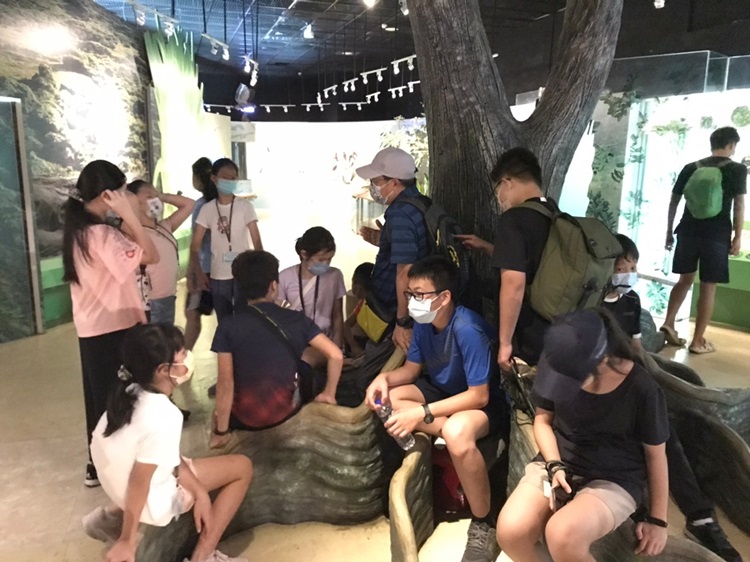 「墾丁－南海岸及台南菜寮化石園區自然探索」夏令營(7/19)-圖片82