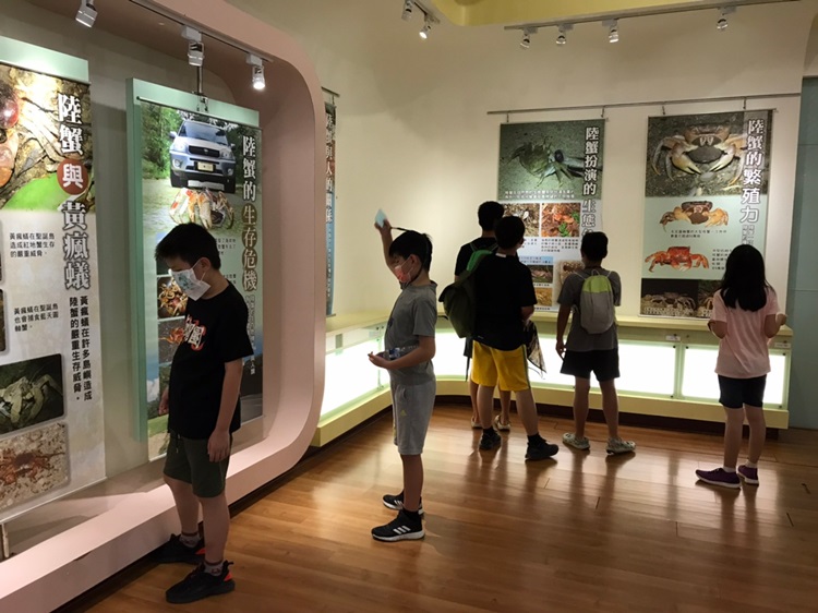 「墾丁－南海岸及台南菜寮化石園區自然探索」夏令營(7/19)-圖片92