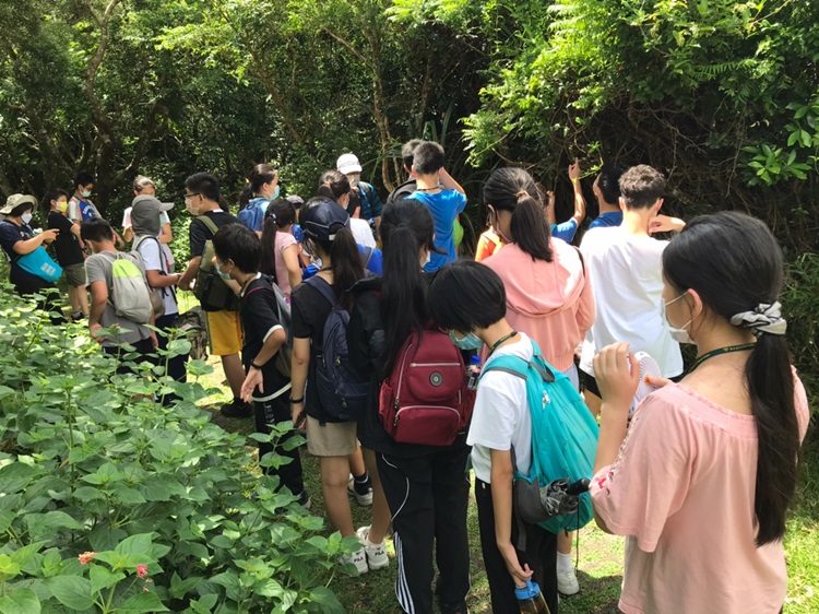 「墾丁－南海岸及台南菜寮化石園區自然探索」夏令營(7/19)-圖片129