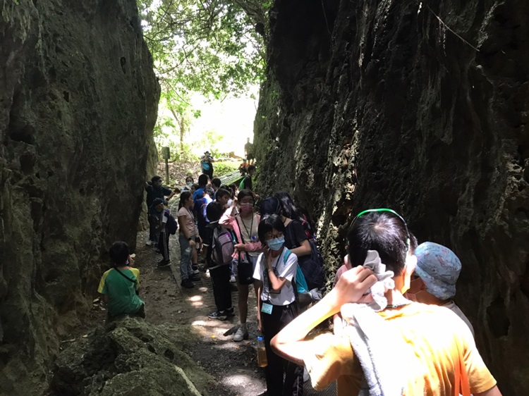 「墾丁－南海岸及台南菜寮化石園區自然探索」夏令營(7/19)-圖片137