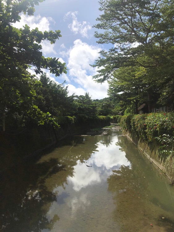 「墾丁－南海岸及台南菜寮化石園區自然探索」夏令營(7/19)-圖片153