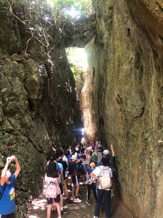 「墾丁－南海岸及台南菜寮化石園區自然探索」夏令營(7/19)-圖片156