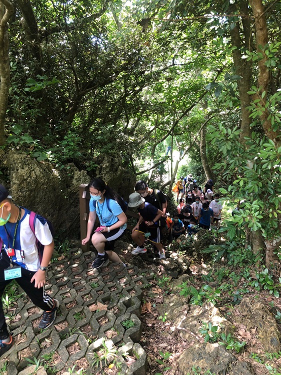 「墾丁－南海岸及台南菜寮化石園區自然探索」夏令營(7/19)-圖片157
