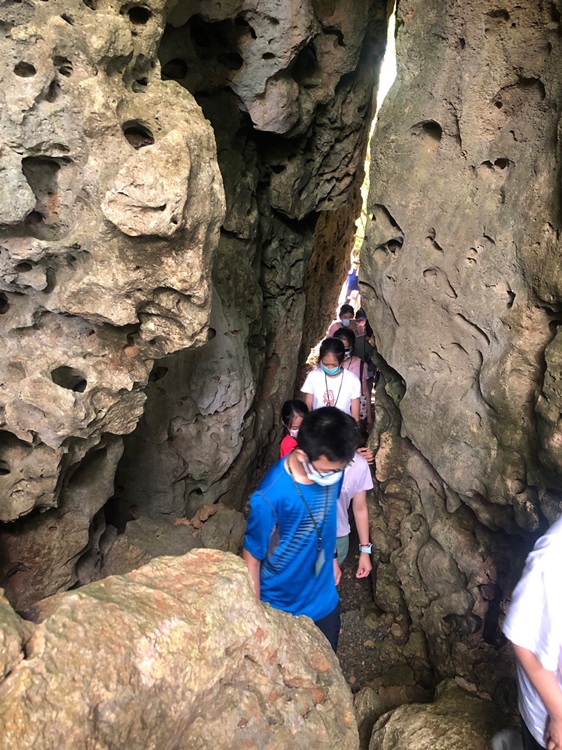 「墾丁－南海岸及台南菜寮化石園區自然探索」夏令營(7/19)-圖片182