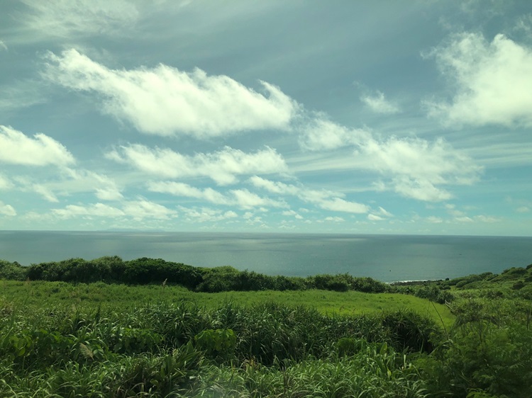 「墾丁－南海岸及台南菜寮化石園區自然探索」夏令營(7/19)-圖片196