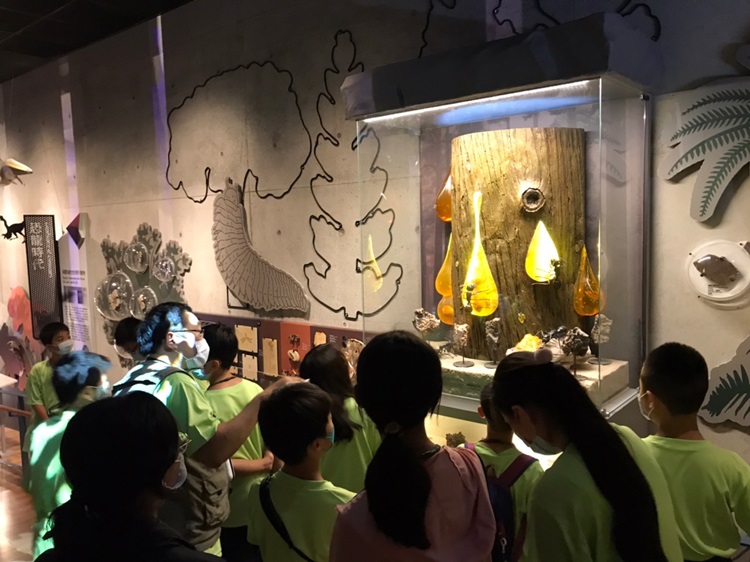 「墾丁－南海岸及台南菜寮化石園區自然探索」夏令營(7/20)-圖片43