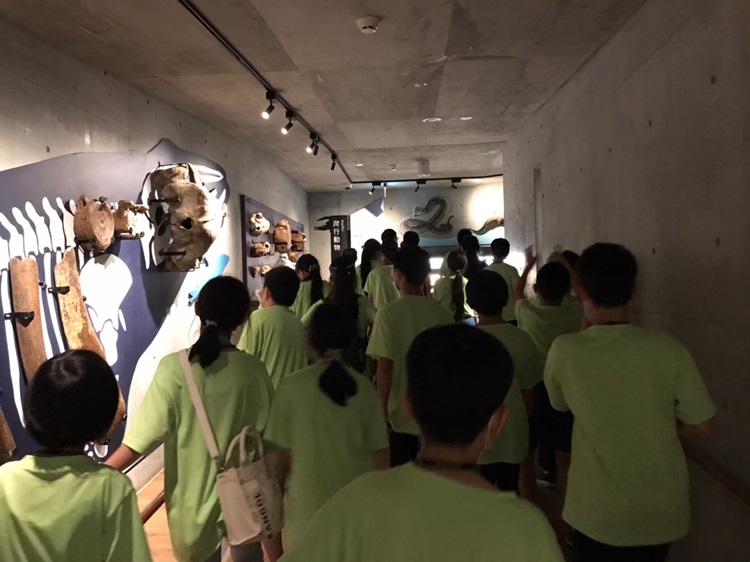 「墾丁－南海岸及台南菜寮化石園區自然探索」夏令營(7/20)-圖片57
