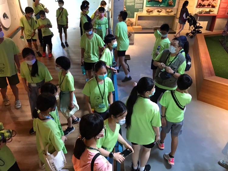 「墾丁－南海岸及台南菜寮化石園區自然探索」夏令營(7/20)-圖片68