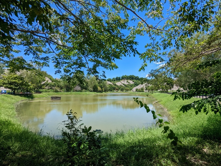 「墾丁－南海岸及台南菜寮化石園區自然探索」夏令營(7/20)-圖片89