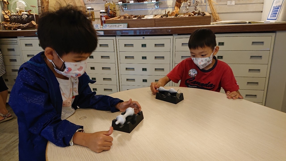 1027幼兒園週間親子科學活動：奇妙的磁鐵-圖片4