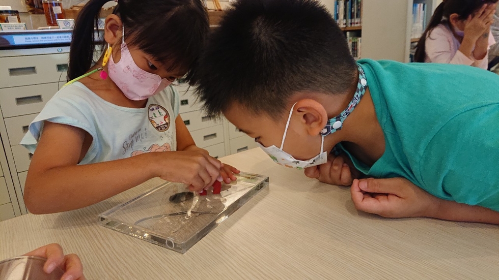1030幼兒園週間親子科學活動：奇妙的磁鐵-圖片27