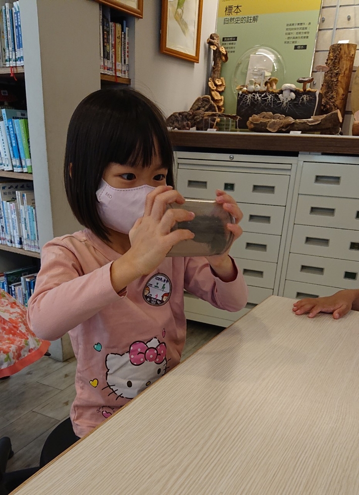 1030幼兒園週間親子科學活動：奇妙的磁鐵-圖片34