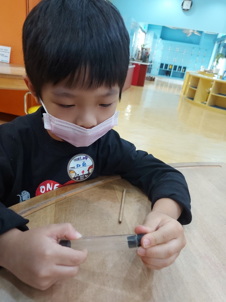 1124幼兒園週間親子科學活動：奇妙的磁鐵-圖片9