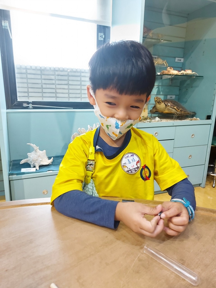 1124幼兒園週間親子科學活動：奇妙的磁鐵-圖片15
