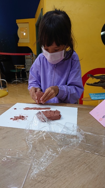 3/16 幼兒園週間親子科學活動：鳥兒的家-圖片3