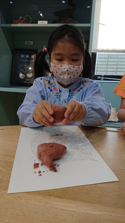 3/16 幼兒園週間親子科學活動：鳥兒的家-圖片7