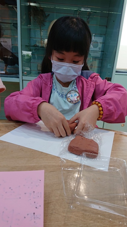 3/16 幼兒園週間親子科學活動：鳥兒的家-圖片8