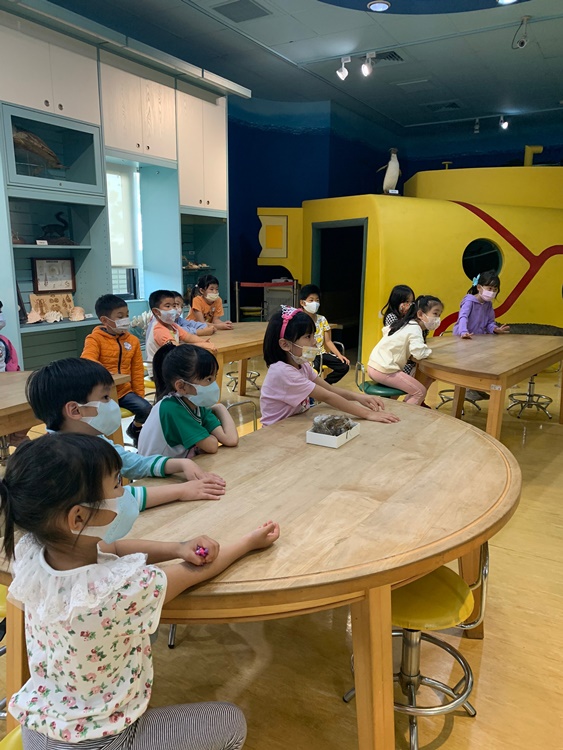 3/16 幼兒園週間親子科學活動：鳥兒的家-圖片9