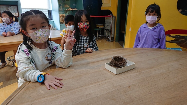 3/16 幼兒園週間親子科學活動：鳥兒的家-圖片12