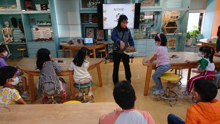 3/16 幼兒園週間親子科學活動：鳥兒的家-圖片23