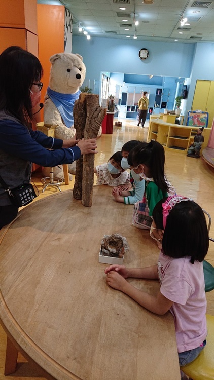 3/16 幼兒園週間親子科學活動：鳥兒的家-圖片45
