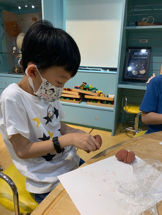 3/19 幼兒園週間親子科學活動：鳥兒的家-圖片3