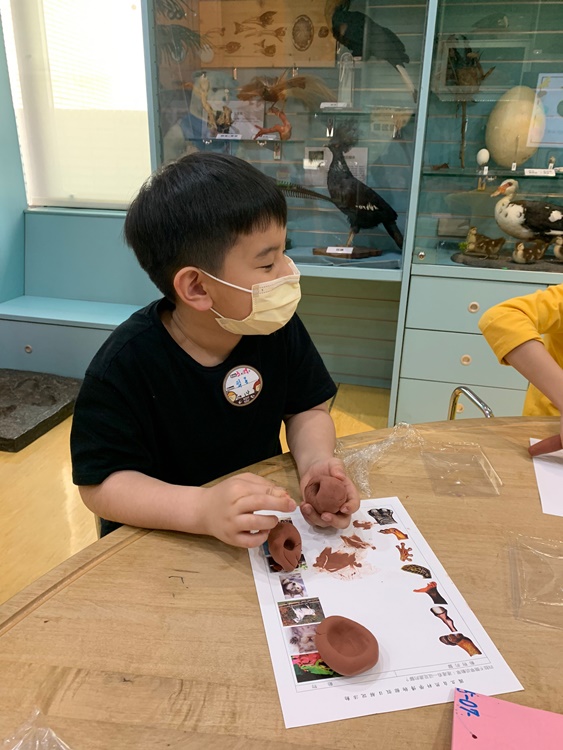 3/19 幼兒園週間親子科學活動：鳥兒的家-圖片5