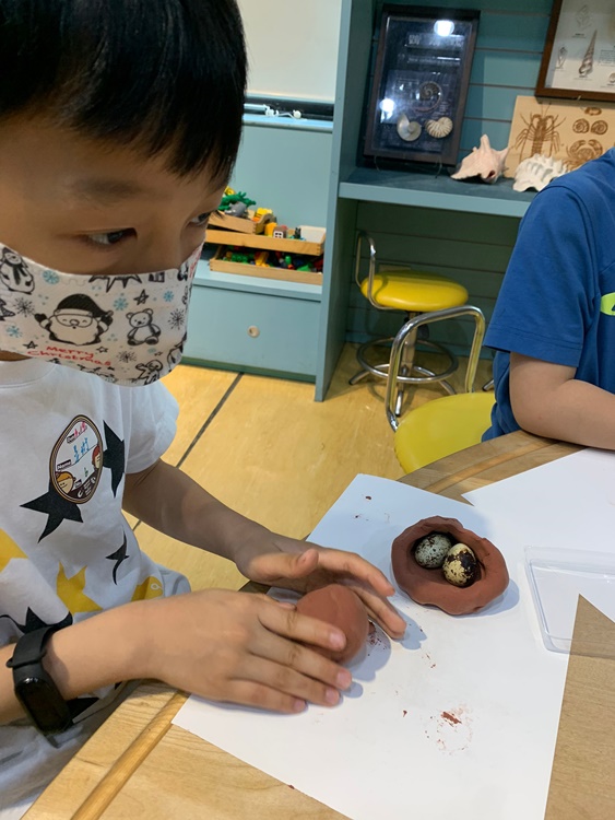 3/19 幼兒園週間親子科學活動：鳥兒的家-圖片9
