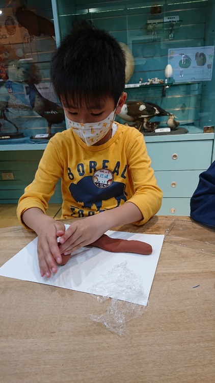 3/19 幼兒園週間親子科學活動：鳥兒的家-圖片15