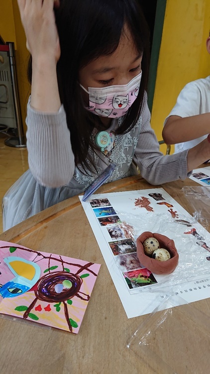 3/19 幼兒園週間親子科學活動：鳥兒的家-圖片18